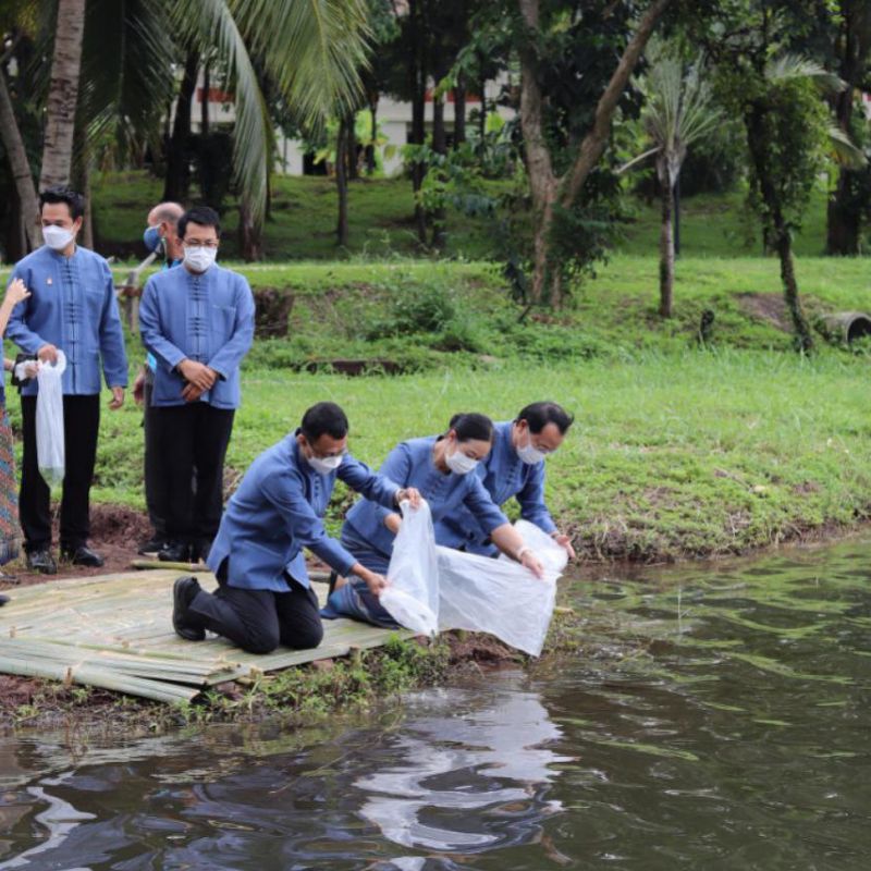 DSA and the University of Phayao Volunteer Action 